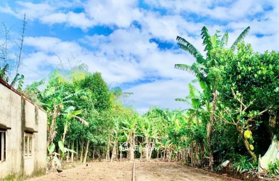  CƠ HỘI SỞ HỮU ĐẤT NỀN ĐIỆN HỒNG – ĐIỆN BÀN | VEN ĐÀ NẴNG – GIÁ CHỈ 6xx TRIỆU! 